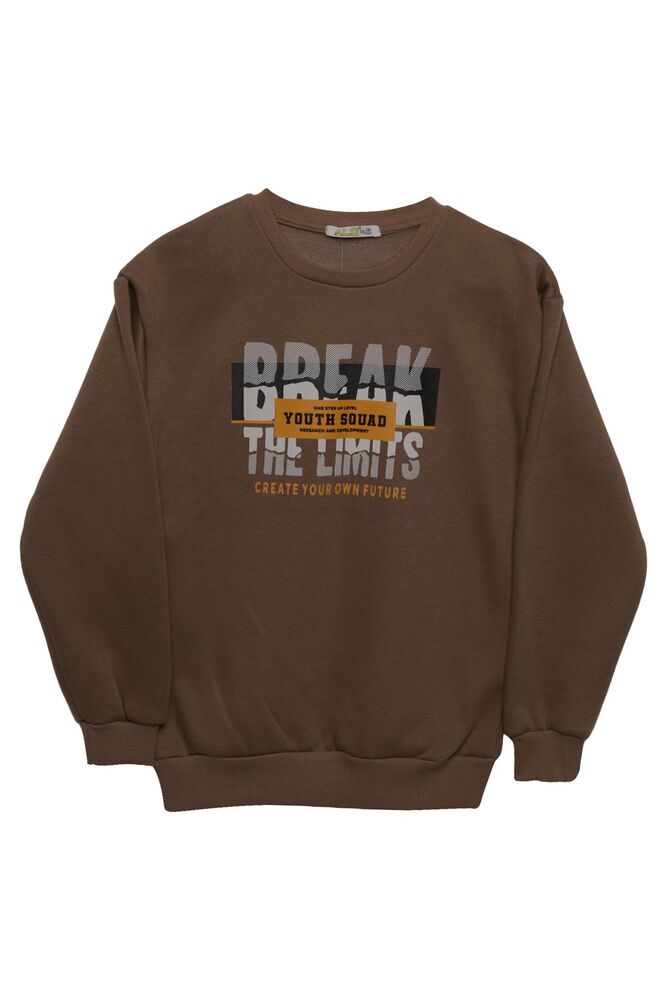 Şardonlu Erkek Çocuk Sweatshirt 423773 | Vizon