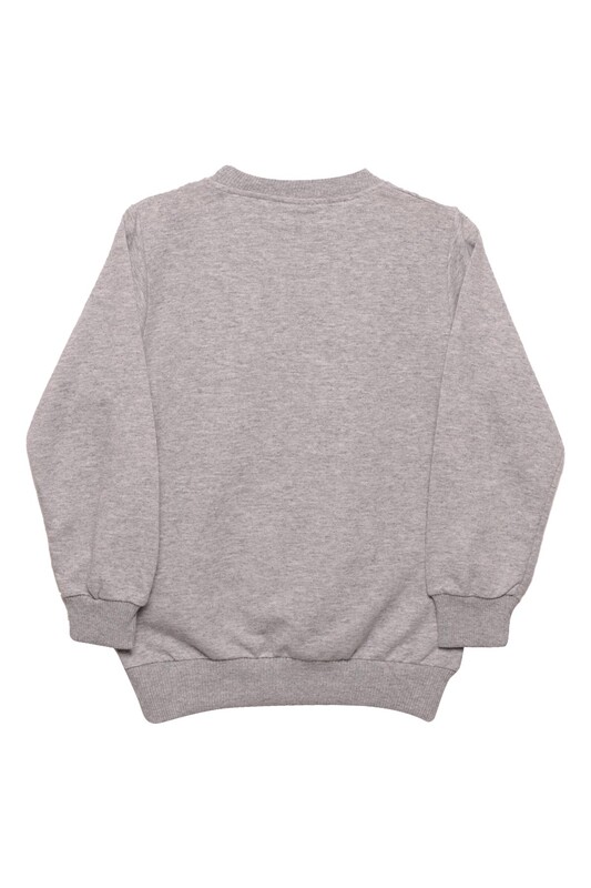 Yazı Baskılı Erkek Çocuk Sweatshirt 0025 | Gri - Thumbnail