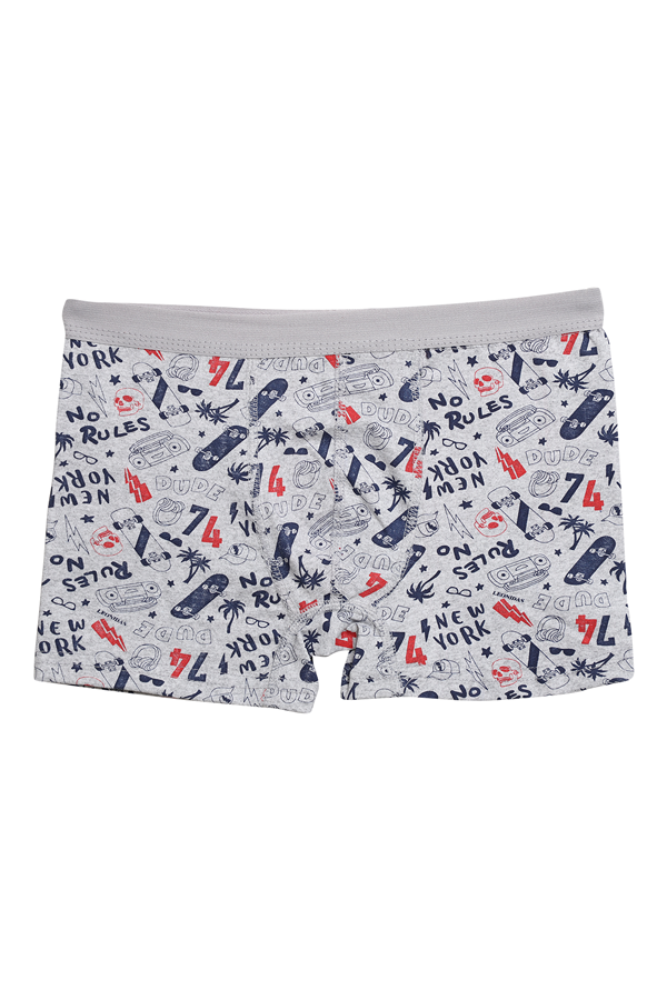 Desenli Erkek Çocuk Boxer 3001-1 | Gri Lacivert