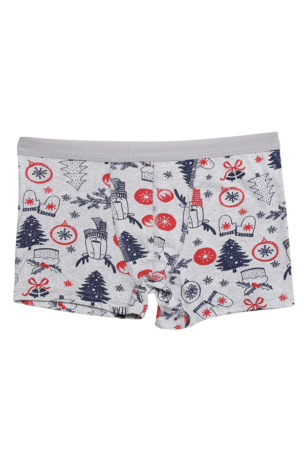 Likralı Empirme Çocuk Boxer 1638-1 | Açık Gri