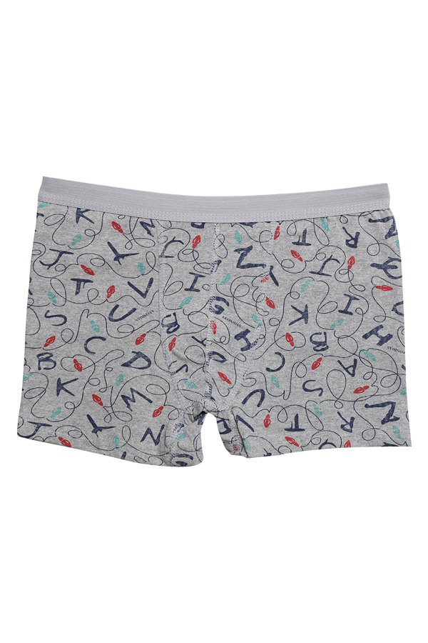 Likralı Empirme Çocuk Boxer 1638-2 | Gri