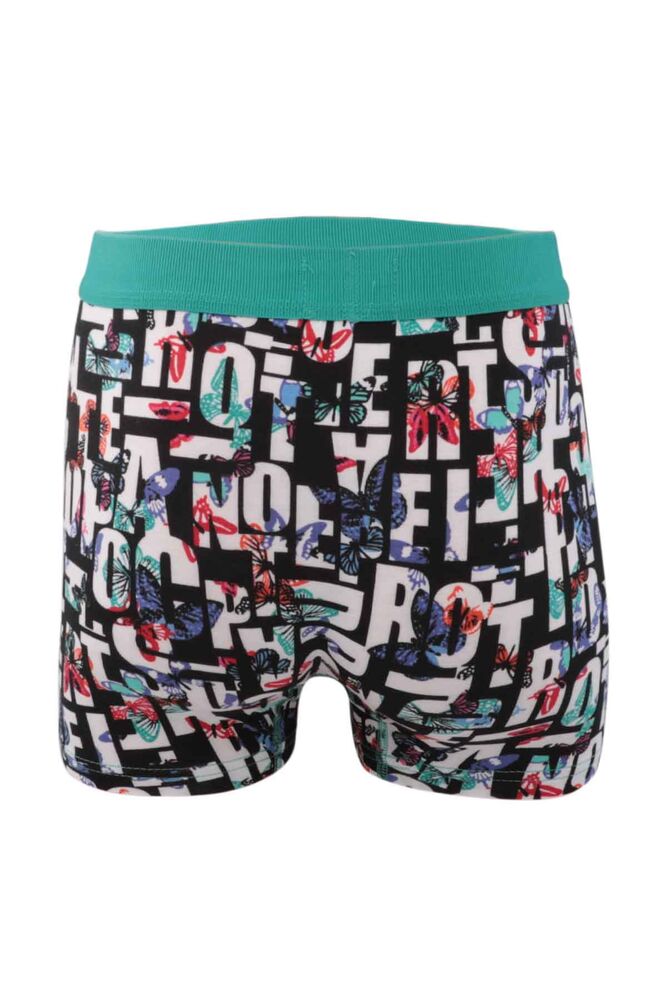 Berrak Boxer 4489 | Green