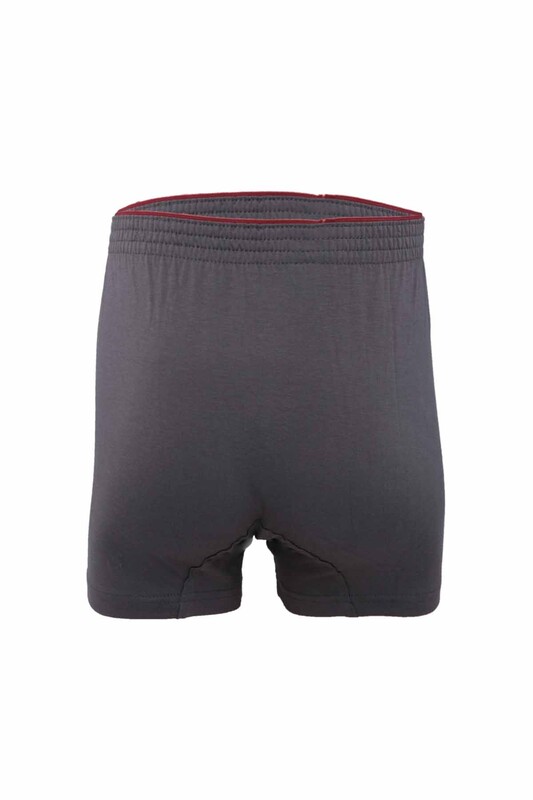 Berrak 1099 Man Boxer | Smoky - Thumbnail