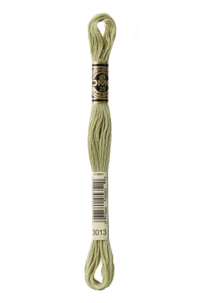 Mouline Embroidery Floss Dmc 8 Metres | 3013