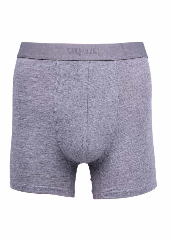 Aytuğ Modal Boxer 2'li | Gri - Thumbnail