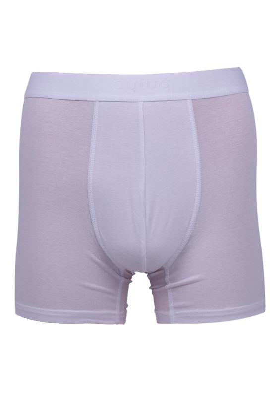 Aytuğ Modal Boxer 2'li | Beyaz - Thumbnail