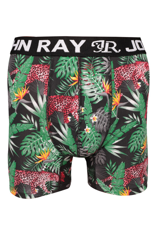 JOHN RAY - John Ray Desenli Boxer 860 | Renk5