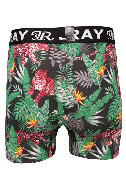 John Ray Desenli Boxer 860 | Renk5 - Thumbnail
