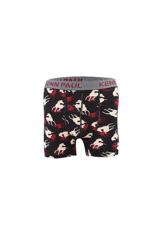 KENN PAUL - Erkek Desenli Boxer 008 | Siyah