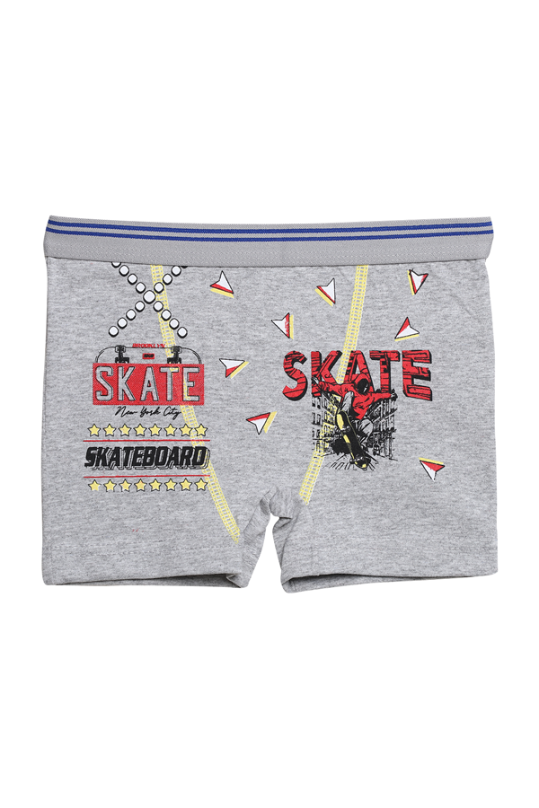Baskılı Erkek Çocuk Boxer 5024-1 | Gri