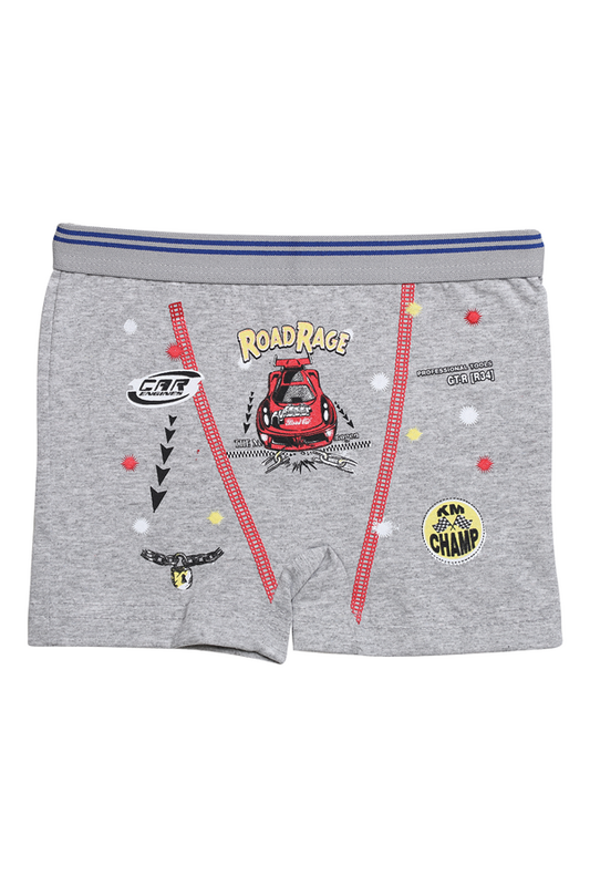 Eren - Baskılı Erkek Çocuk Boxer 5024-3 | Gri