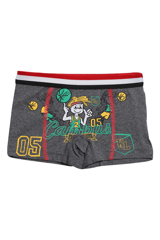 Hafız - Desenli Erkek Çocuk Boxer 8007 | Antrasit