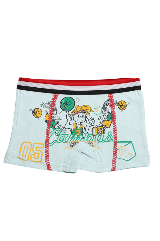 Hafız - Desenli Erkek Çocuk Boxer 8007 | Mint