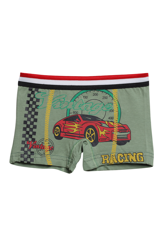 Hafız - Baskılı Erkek Çocuk Boxer 8007-3 | Açık Yeşil
