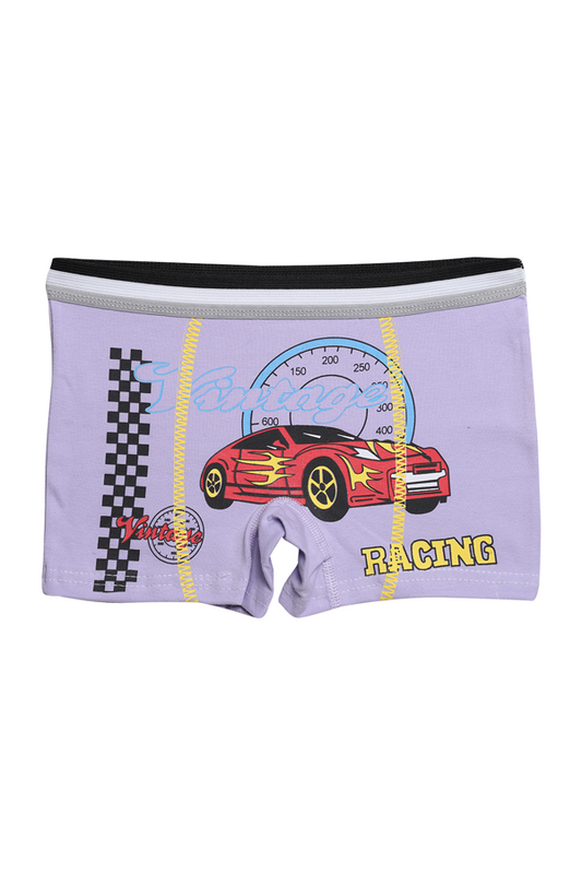 Hafız - Baskılı Erkek Çocuk Boxer 8007-3 | Lila