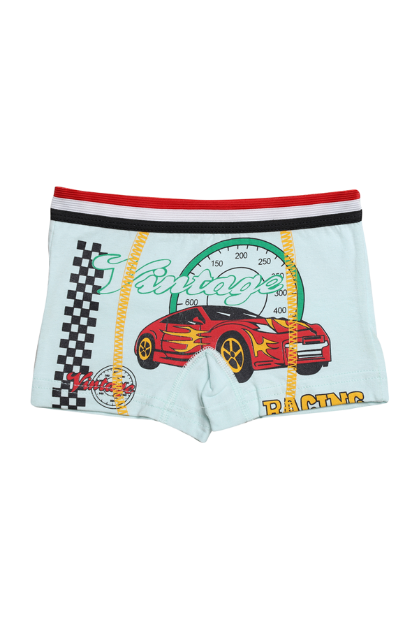 Baskılı Erkek Çocuk Boxer 8007-3 | Mint