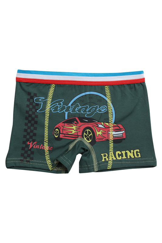 Hafız - Baskılı Erkek Çocuk Boxer 8007-3 | Yeşil