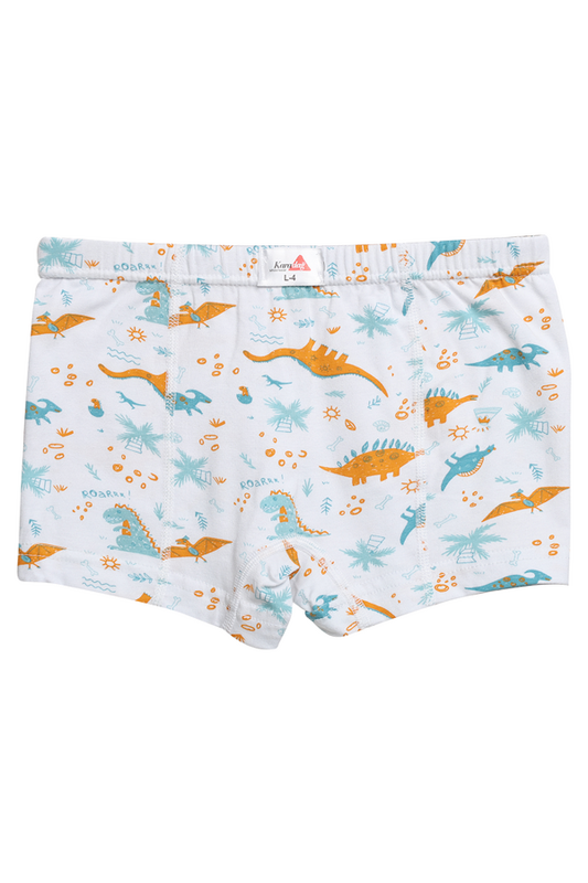 Karadağ - Desenli Erkek Çocuk Boxer 815-3 | Beyaz
