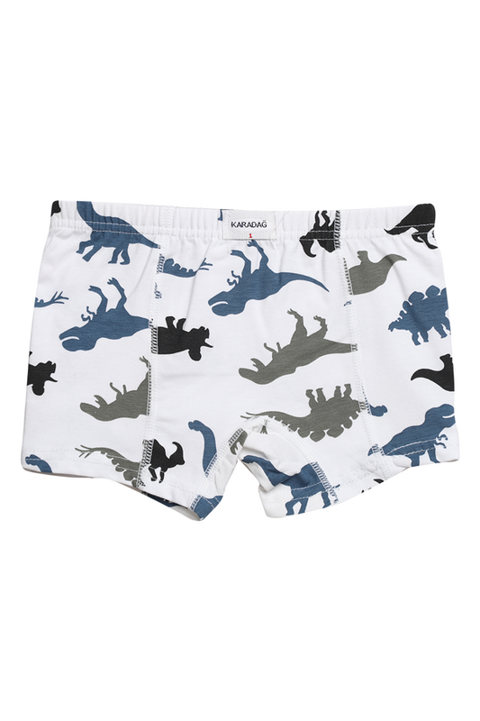 Karadağ - Desenli Erkek Çocuk Boxer 815-7 | Beyaz