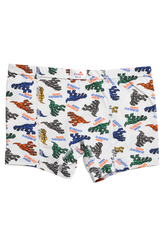Karadağ - Desenli Erkek Çocuk Boxer 815-8 | Beyaz