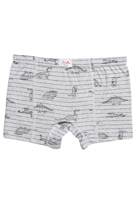 Karadağ - Desenli Erkek Çocuk Boxer 815-10 | Gri