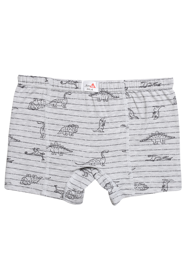 Desenli Erkek Çocuk Boxer 815-10 | Gri