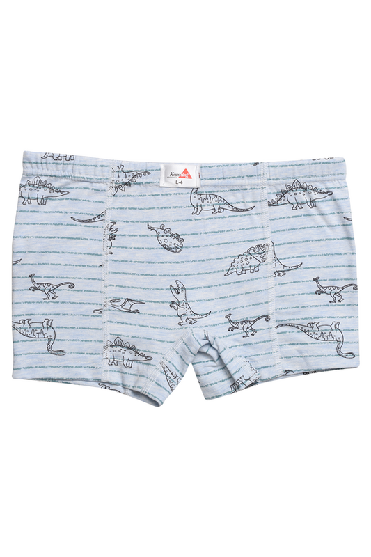 Karadağ - Desenli Erkek Çocuk Boxer 815-10 | Mavi