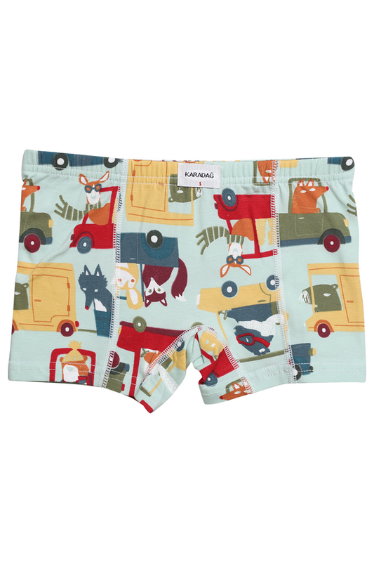 Karadağ - Desenli Erkek Çocuk Boxer 815-9 | Yeşil
