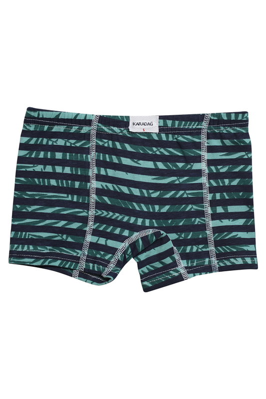 Karadağ - Desenli Erkek Çocuk Boxer 815-11 | Yeşil