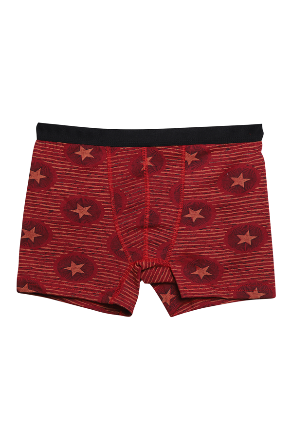 Desenli Erkek Çocuk Boxer 3001 | Bordo 520