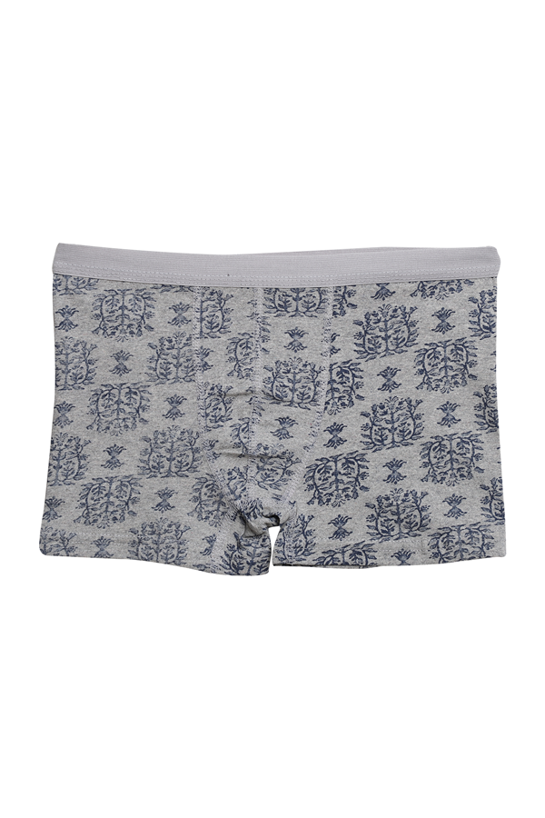 Desenli Erkek Çocuk Boxer 3001 | Füme
