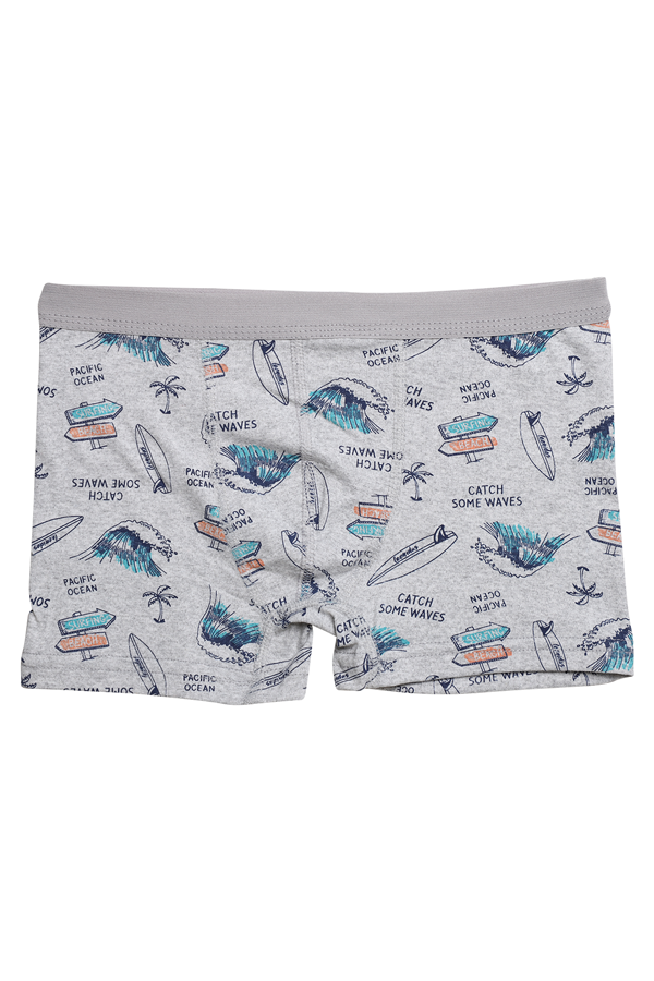 Desenli Erkek Çocuk Boxer 3001-1 | Açık Gri