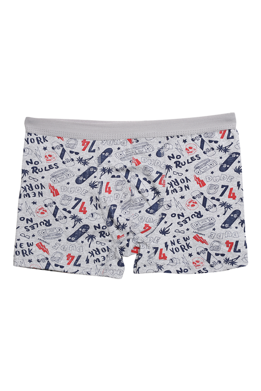 Menbox - Desenli Erkek Çocuk Boxer 3001-1 | Gri Lacivert