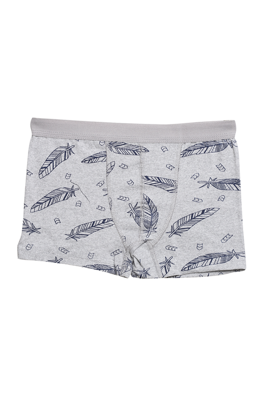 Menbox - Desenli Erkek Çocuk Boxer 3001-2 | Gri
