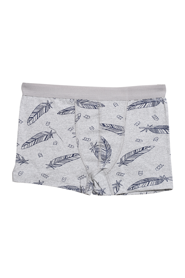 Desenli Erkek Çocuk Boxer 3001-2 | Gri