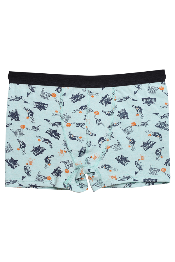 Likralı Empirme Çocuk Boxer 1638-1 | Mint