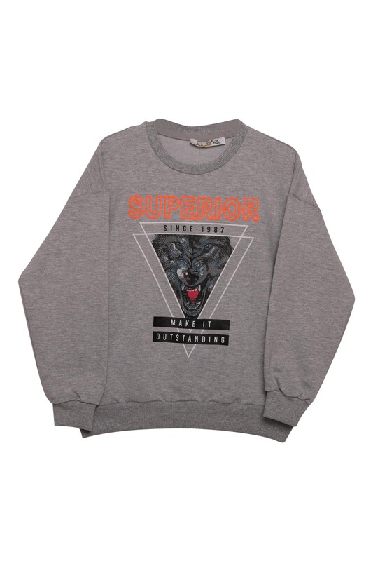 ALG - Kurt Baskılı Erkek Çocuk Sweatshirt | Gri