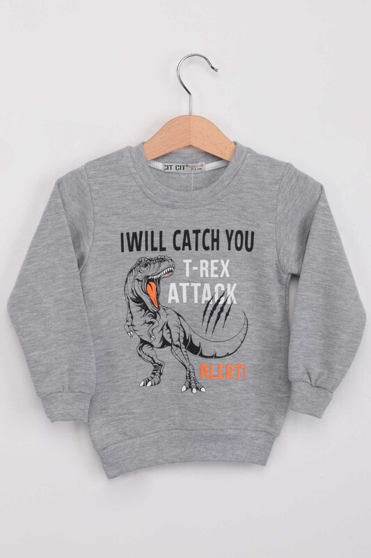 ÇIT ÇIT - Dinozor Desenli Erkek Çocuk Sweat | Gri