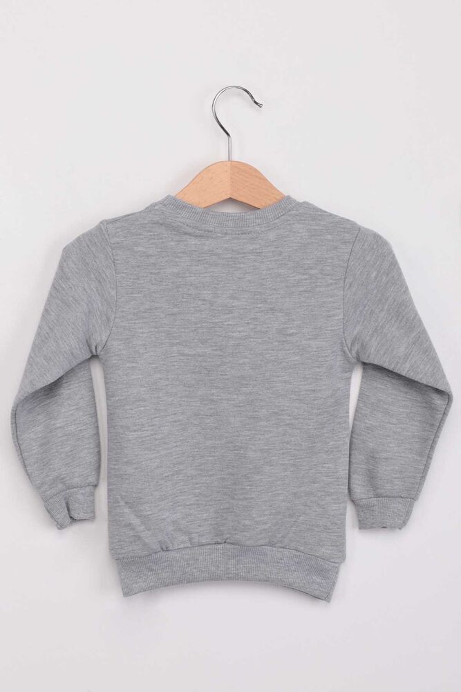 Dinozor Desenli Erkek Çocuk Sweat | Gri