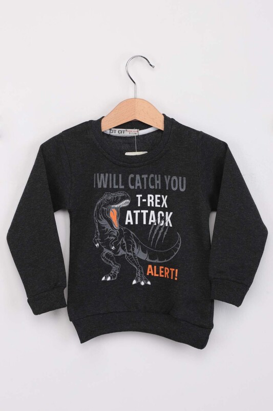 ÇIT ÇIT - Dinozor Desenli Erkek Çocuk Sweat | Füme