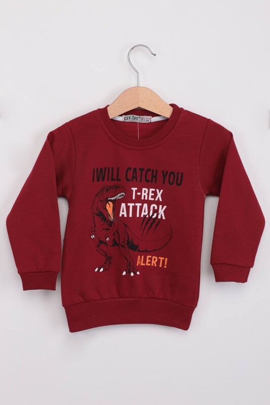 ÇIT ÇIT - Dinozor Desenli Erkek Çocuk Sweat | Kırmızı