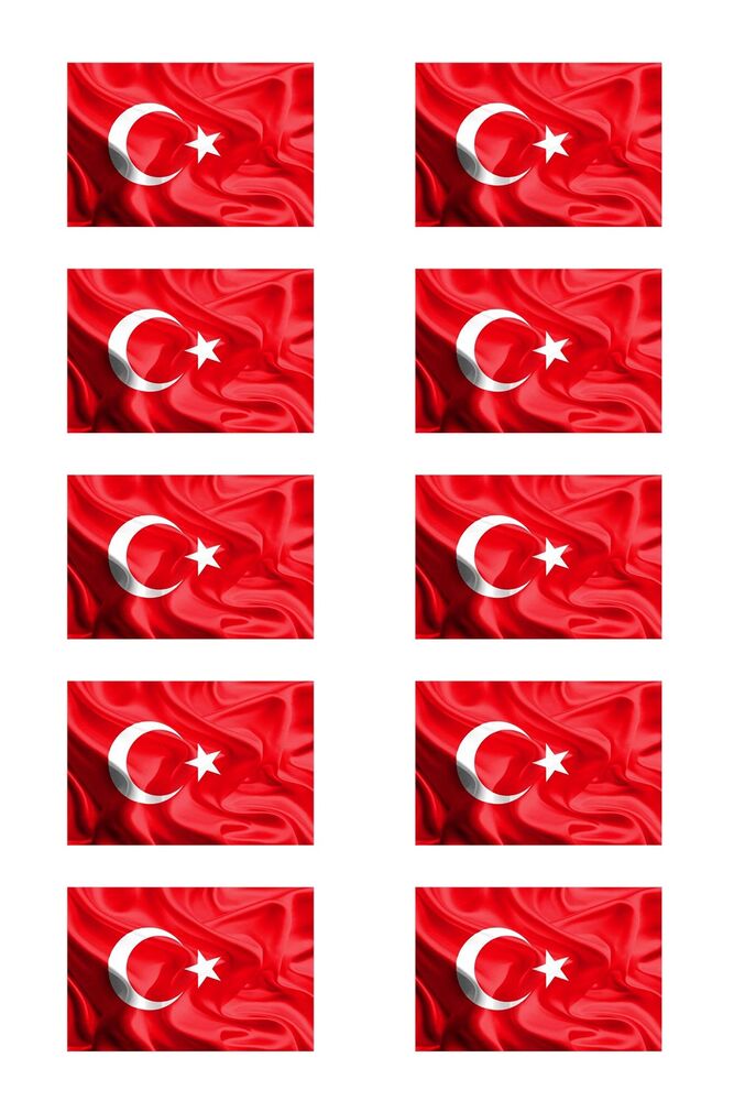 Bayrak 20x30 cm 10 lu
