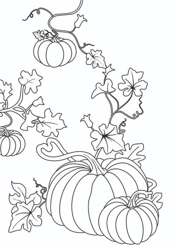 Başlangıç Punch Seti-4 - Thumbnail