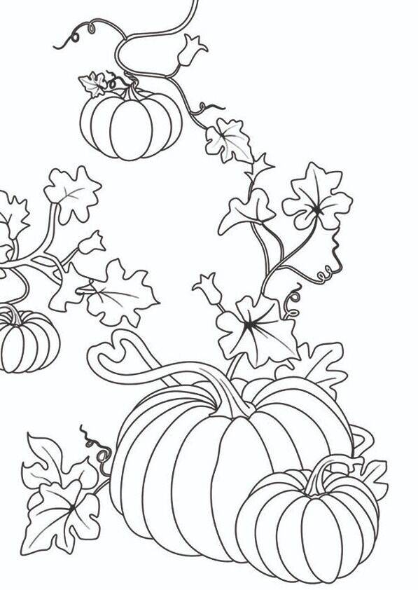 Başlangıç Punch Seti-4