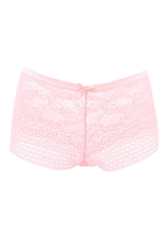 Papatya Boxer 3308 | Salmon