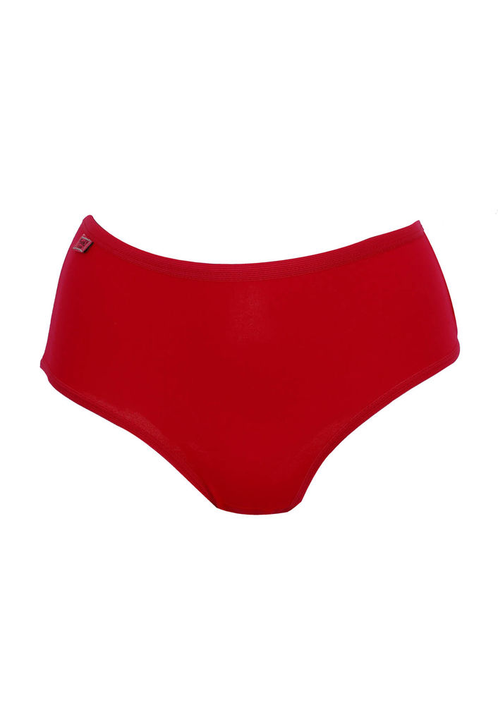 Tutku Elastan Bato Panties 924 | Fuschia