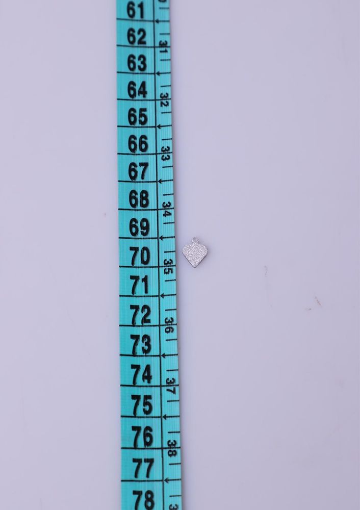Pulsan Gümüş Pul 977