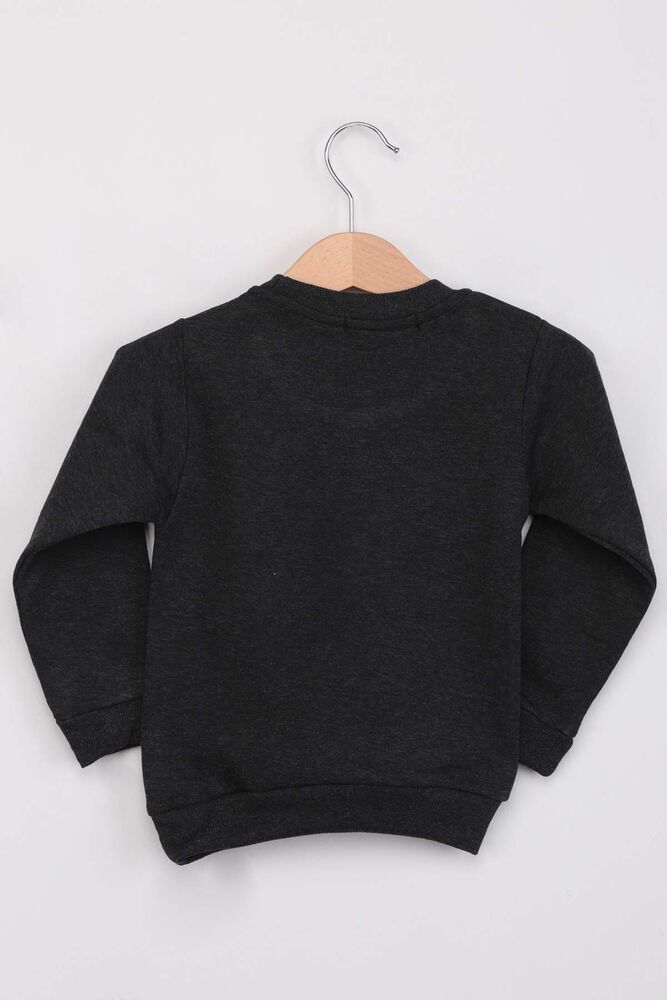 Dinosaur Pattern Boy Sweat | Smoky