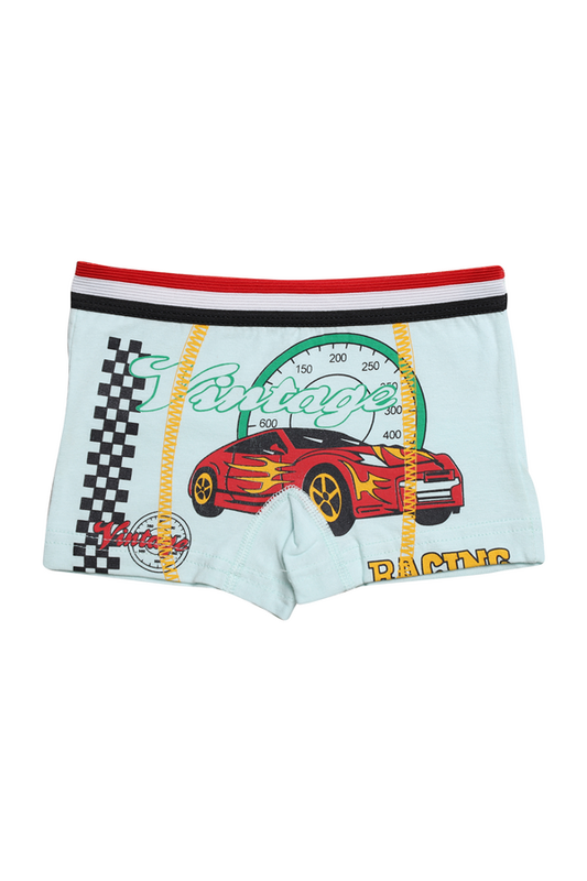 Hafız - Baskılı Erkek Çocuk Boxer 8007-3 | Mint