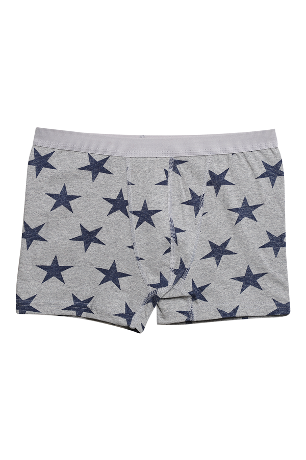 Likralı Empirme Çocuk Boxer 1638-1 | Gri